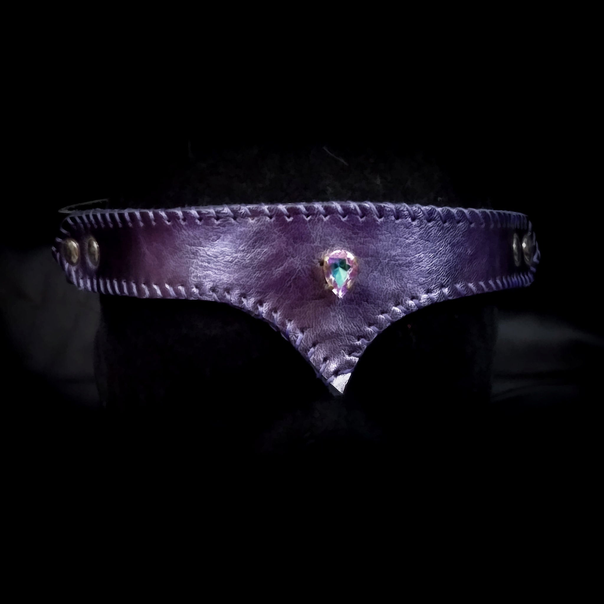 Purple Jewelled  Leather Circlet