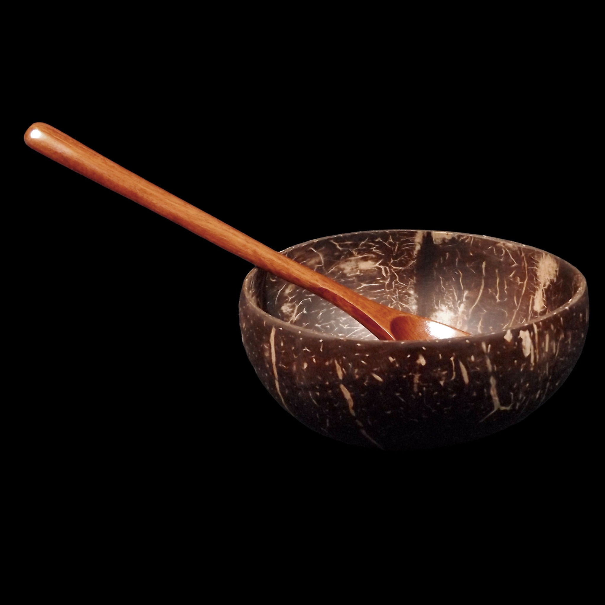 Reusable Coconut Shell Bowl & Wooden Spoon Set