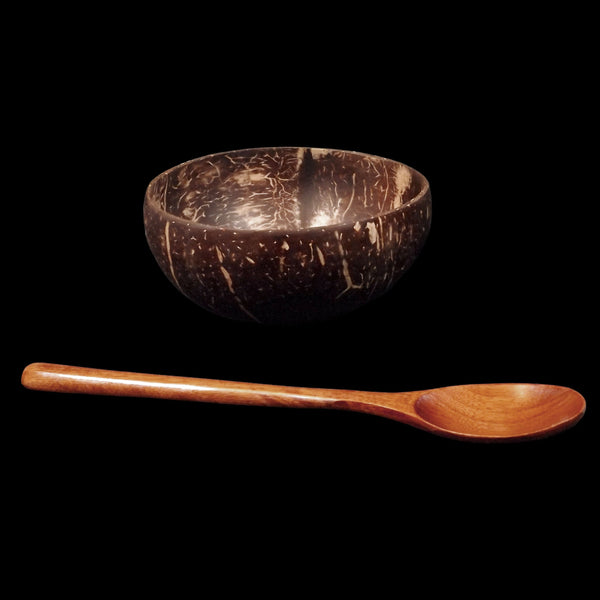 Reusable Coconut Shell Bowl & Wooden Spoon Set