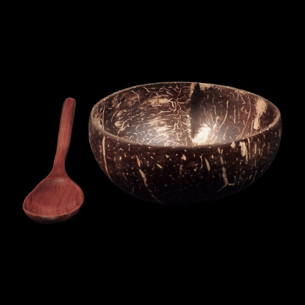 Reusable Coconut Shell Bowl & Wooden Spoon Set